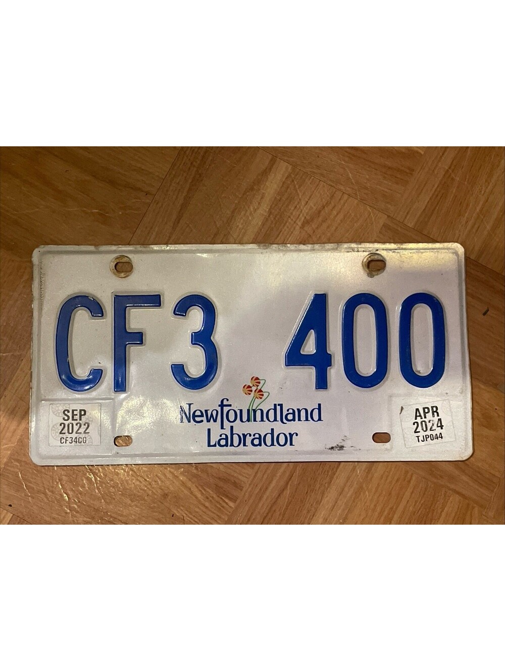 Newfoundland License Plate Labrador Canada World Of Difference CF3 400